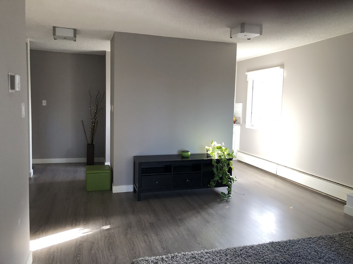 Alpine Painting Ltd.