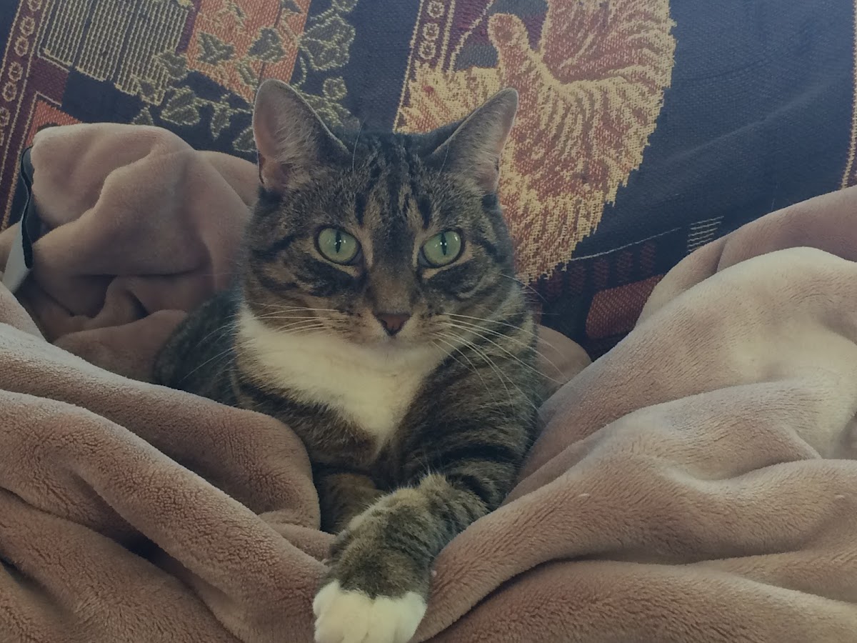 Prairieland Veterinary Clinic