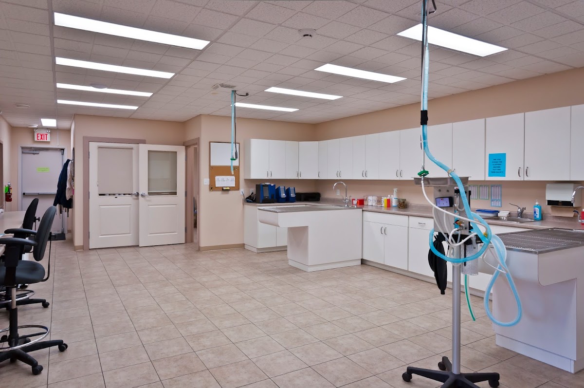 Warman Veterinary Clinic