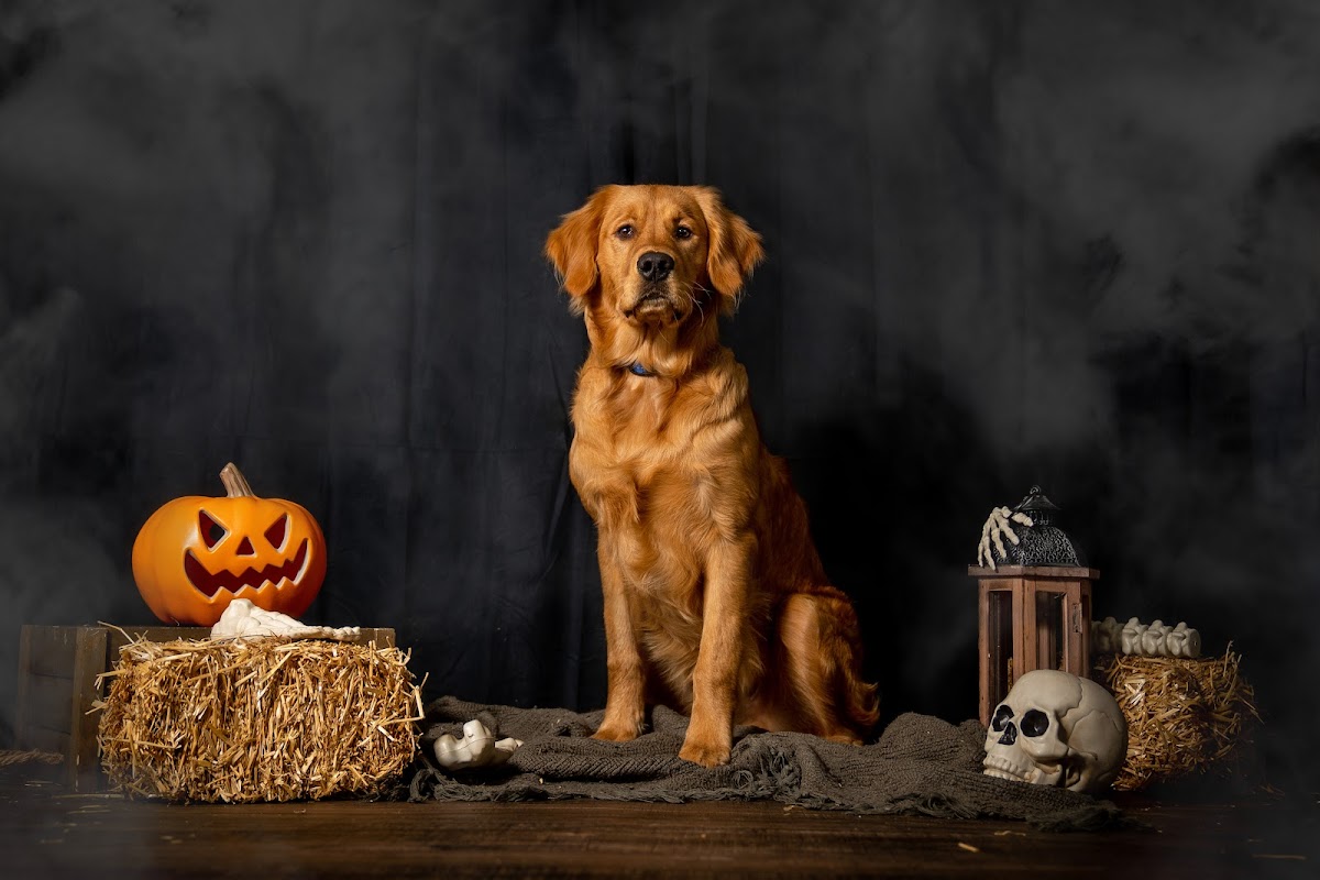 Lianne Matieshin Photography