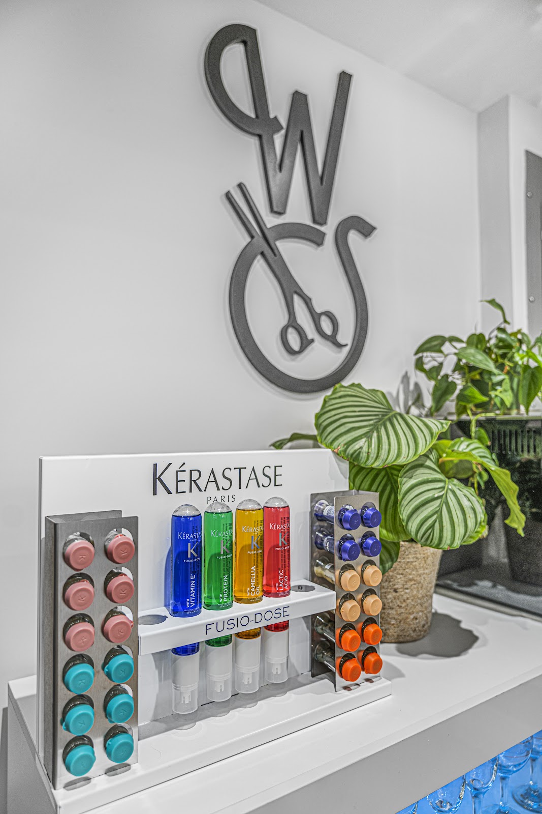 WS HAIRSTYLING NYC