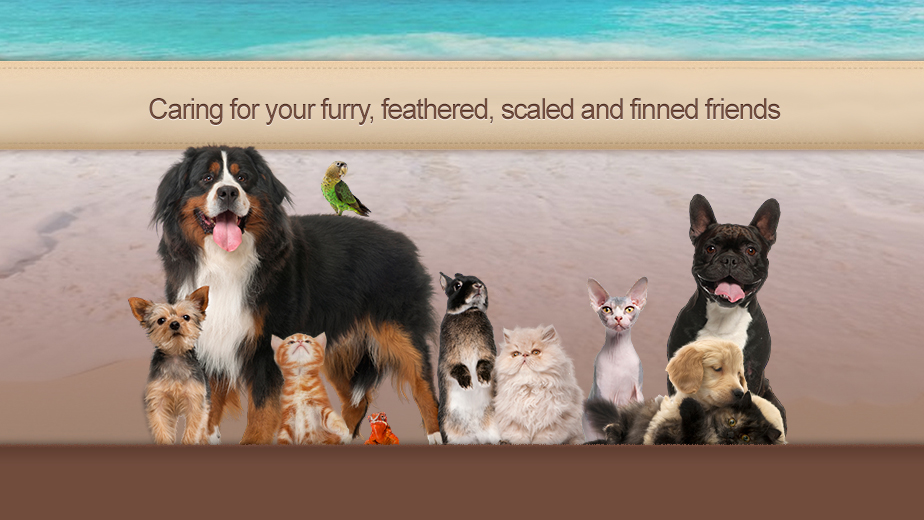 undefined 2