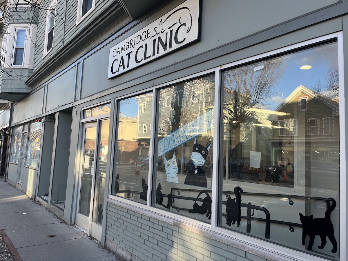 Cambridge Cat Clinic