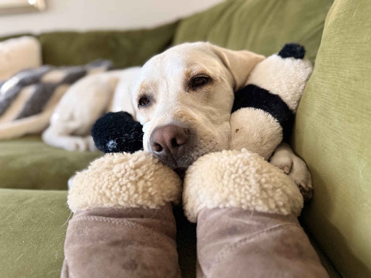 Beck Veterinary Clinic Ltd