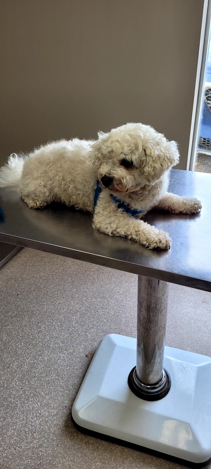 Park Range Veterinary Services