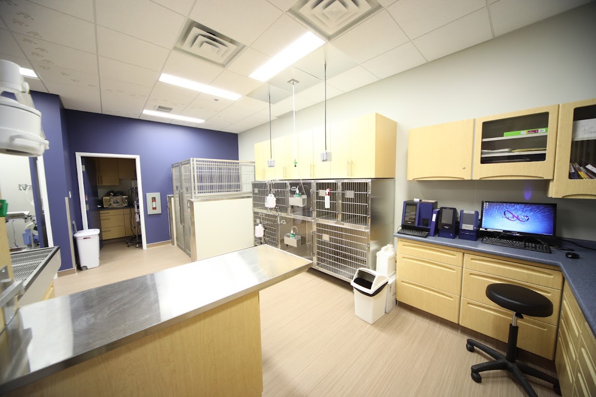 Currents Veterinary Centre