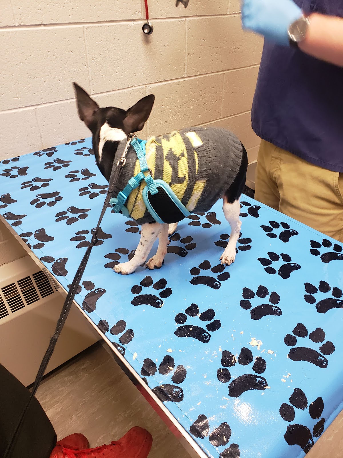 Macleod Trail Animal Hospital