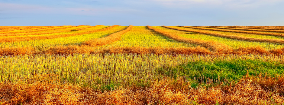 Byron Fichter Fotography