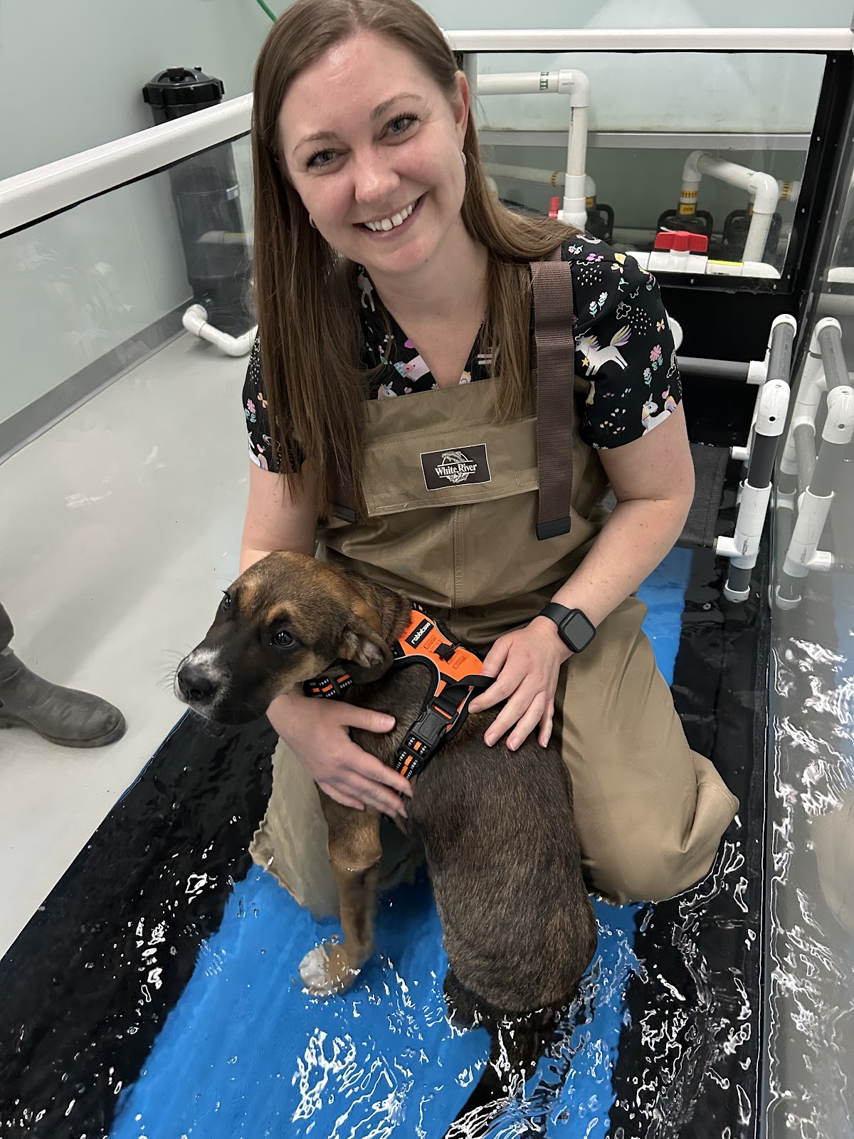 Bridge City Veterinary Rehabilitation