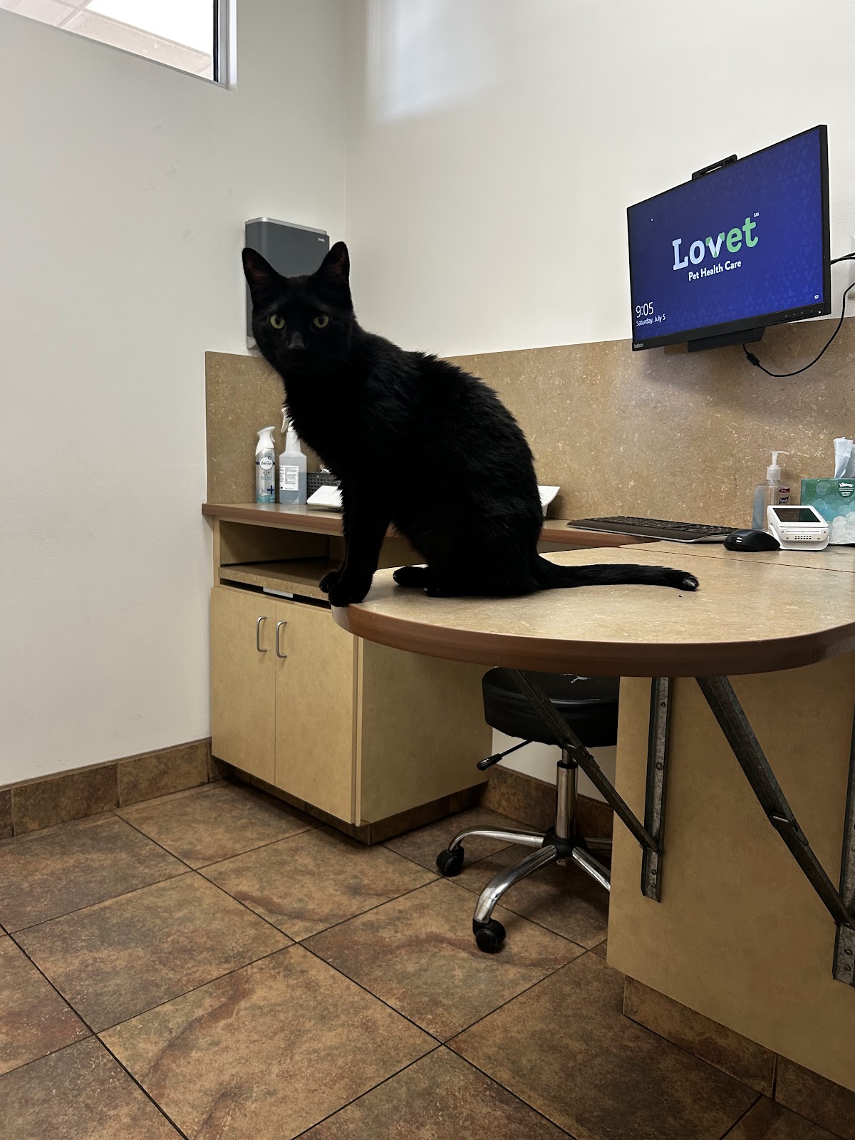 Lovet Pet Health Care - Madison