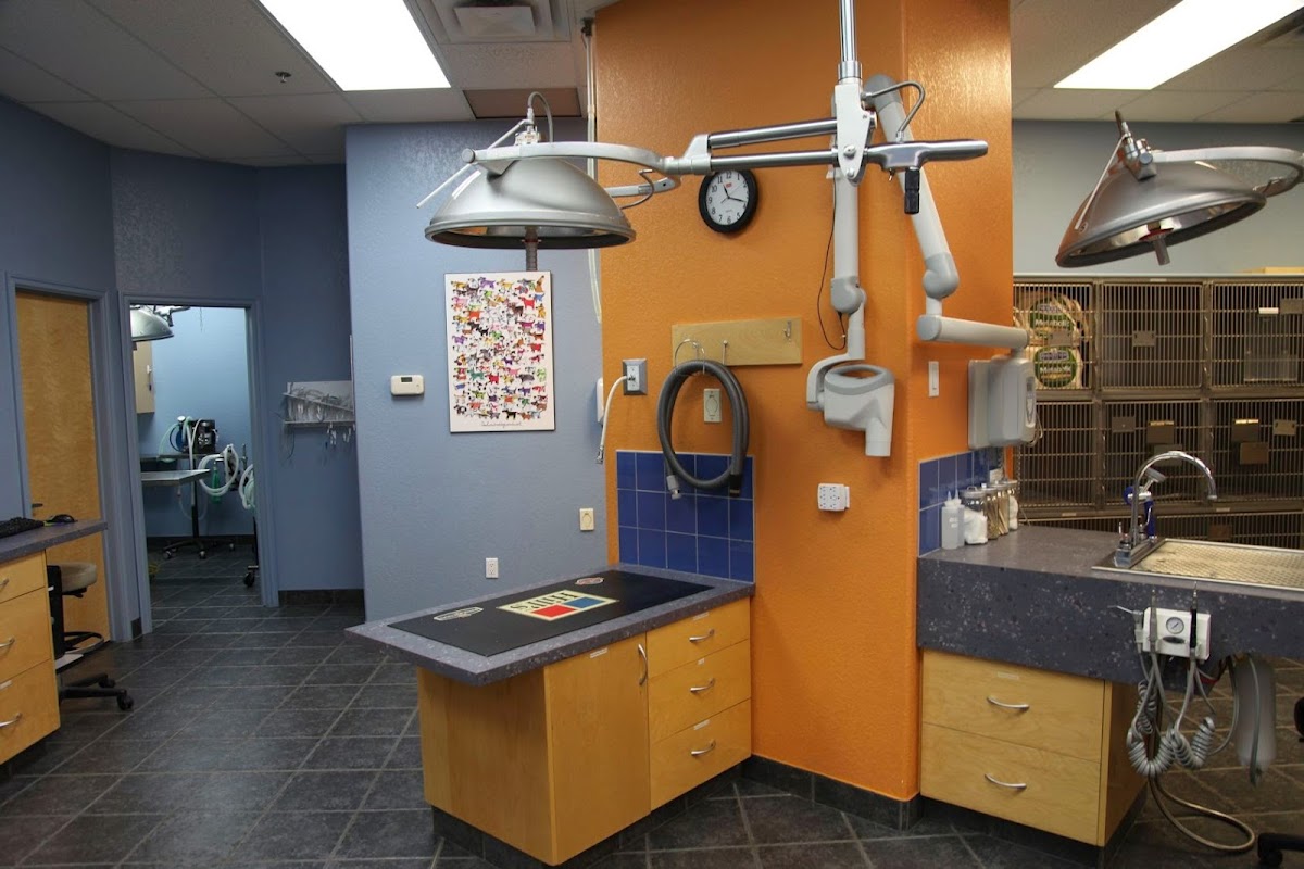 East Hill Dog & Cat Hospital
