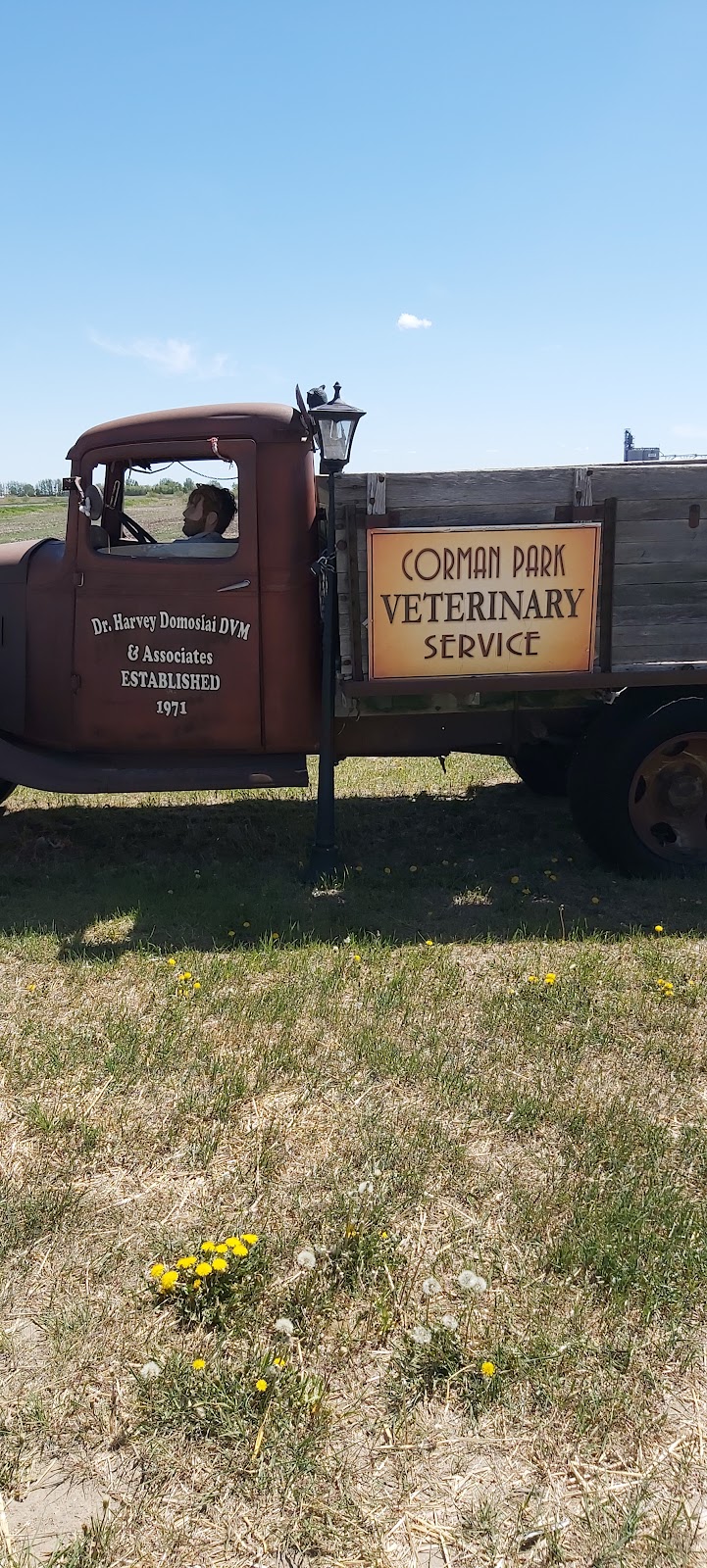 Corman Park Vet Services