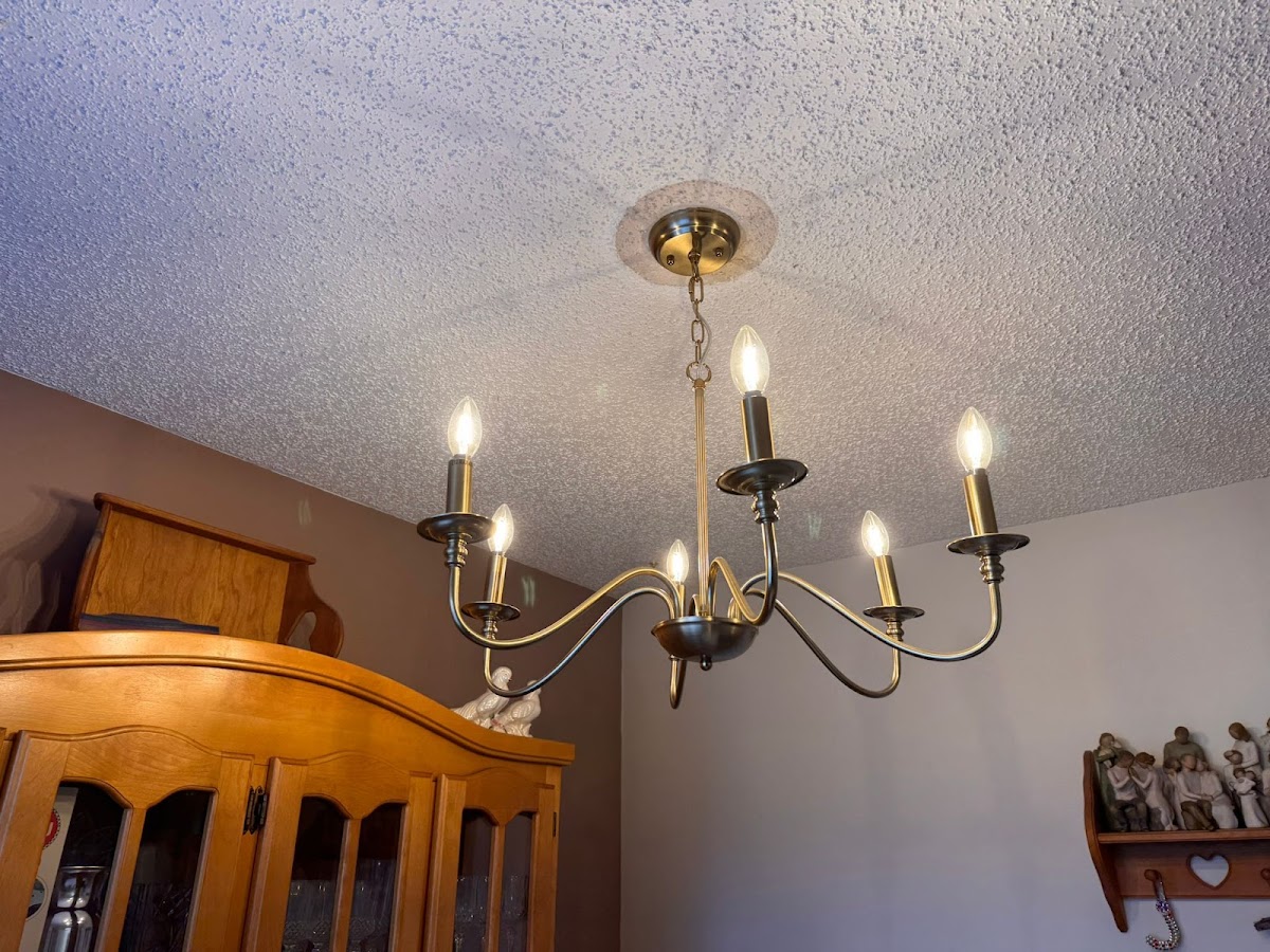 Professional Electrical