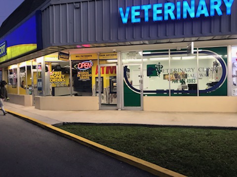 Veterinary Clinic Of Coral Way