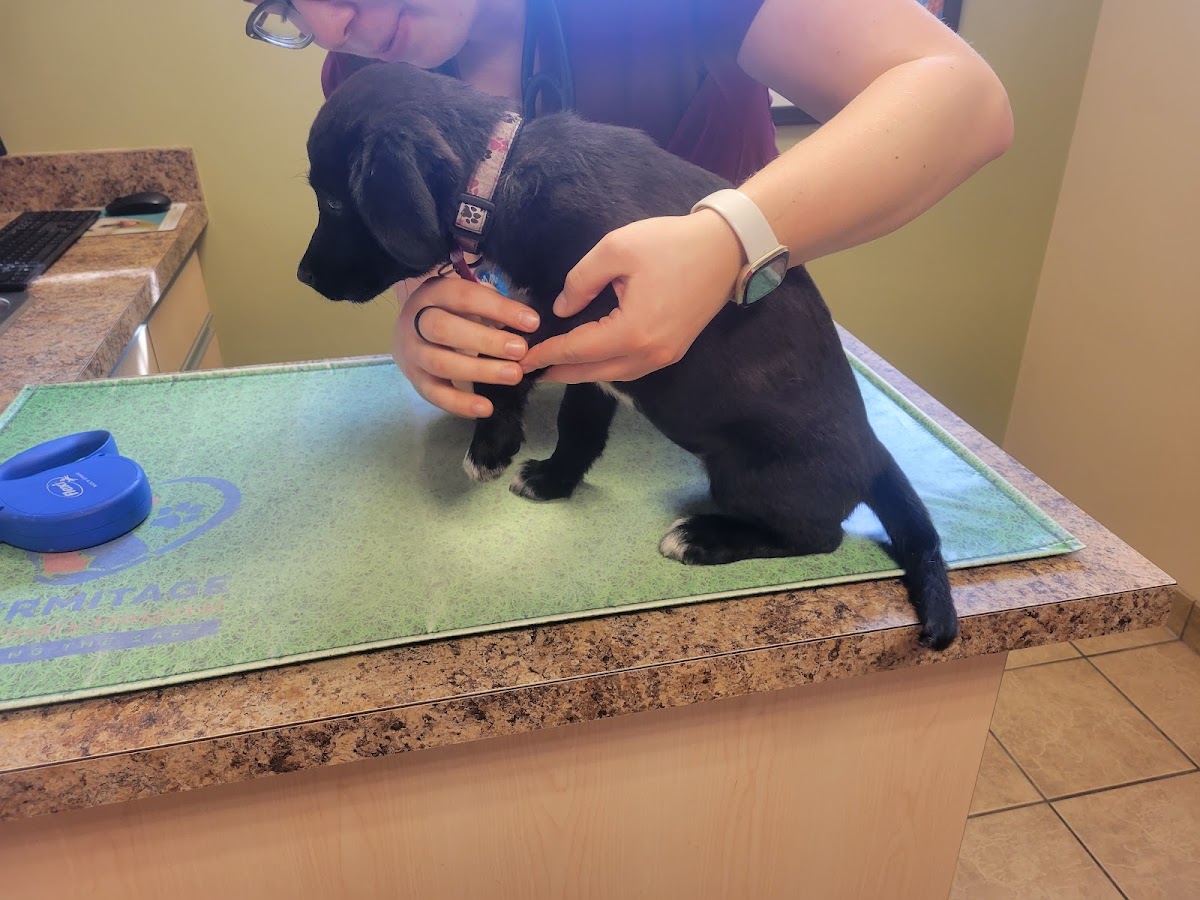 Hermitage Veterinary Hospital