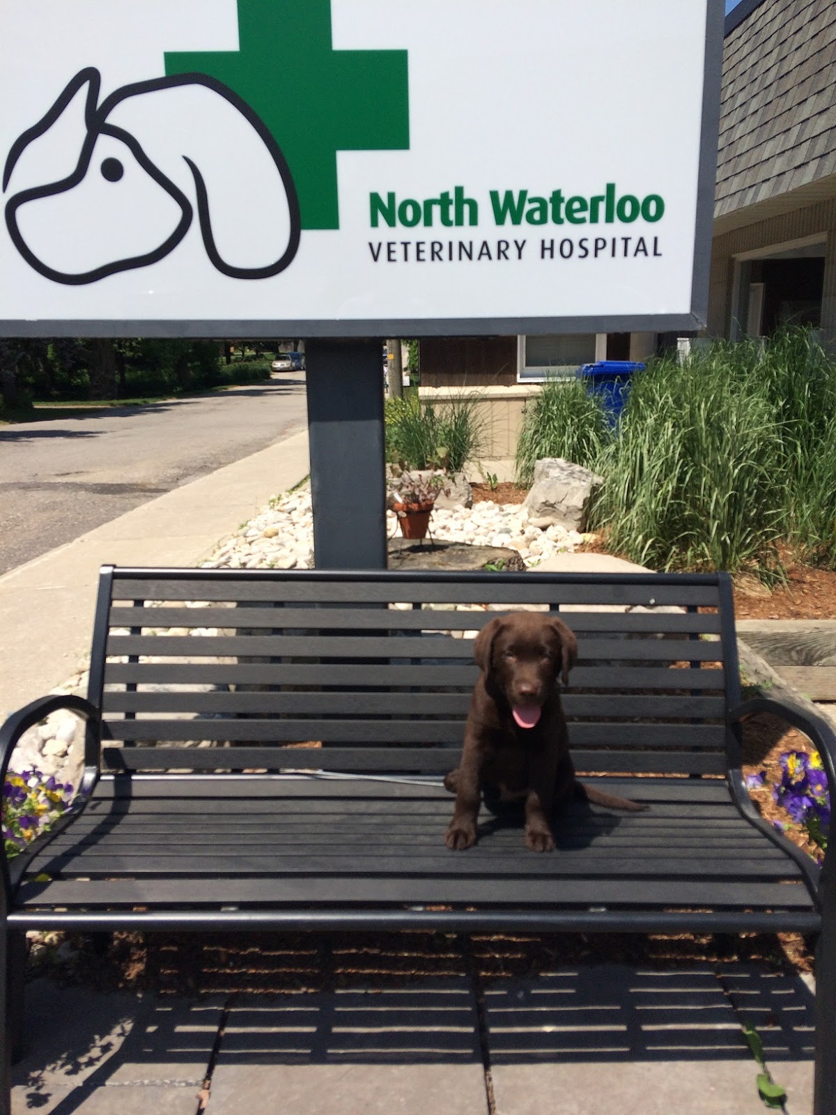 North Waterloo Veterinary Hospital