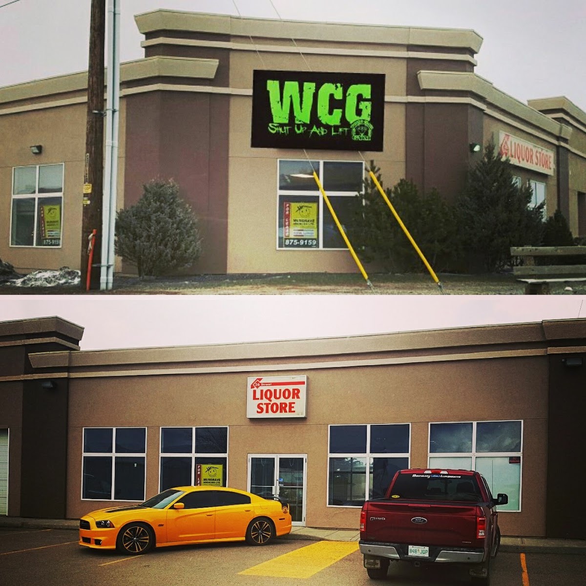 World Class Training and Nutrition