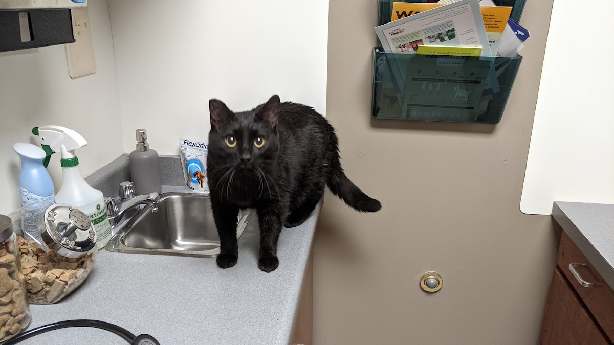 Canyon Meadows Veterinary Clinic