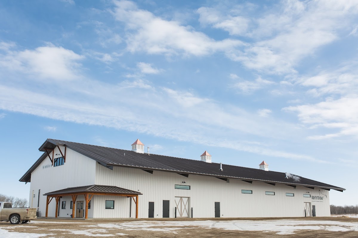Rhythm Equine Veterinary Services