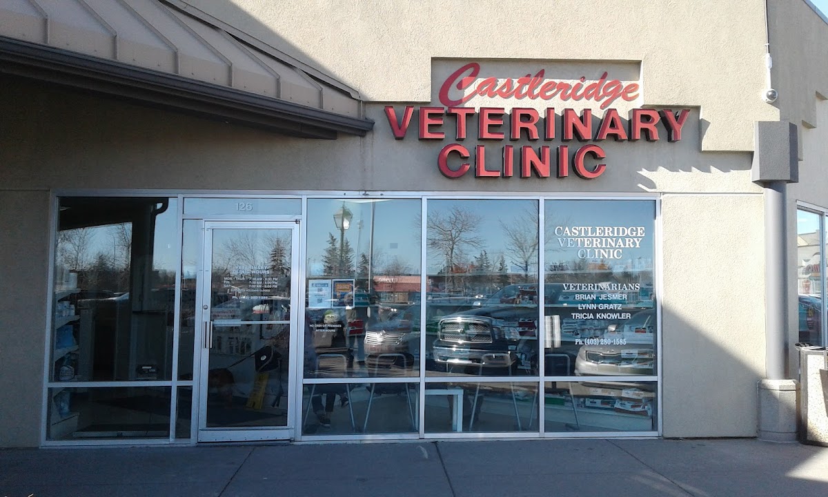 Castleridge Veterinary Clinic