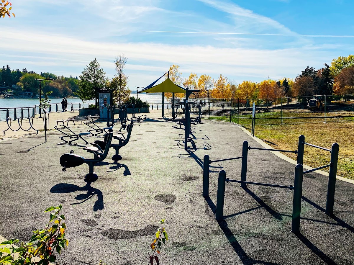 Adult Fitness Circuit