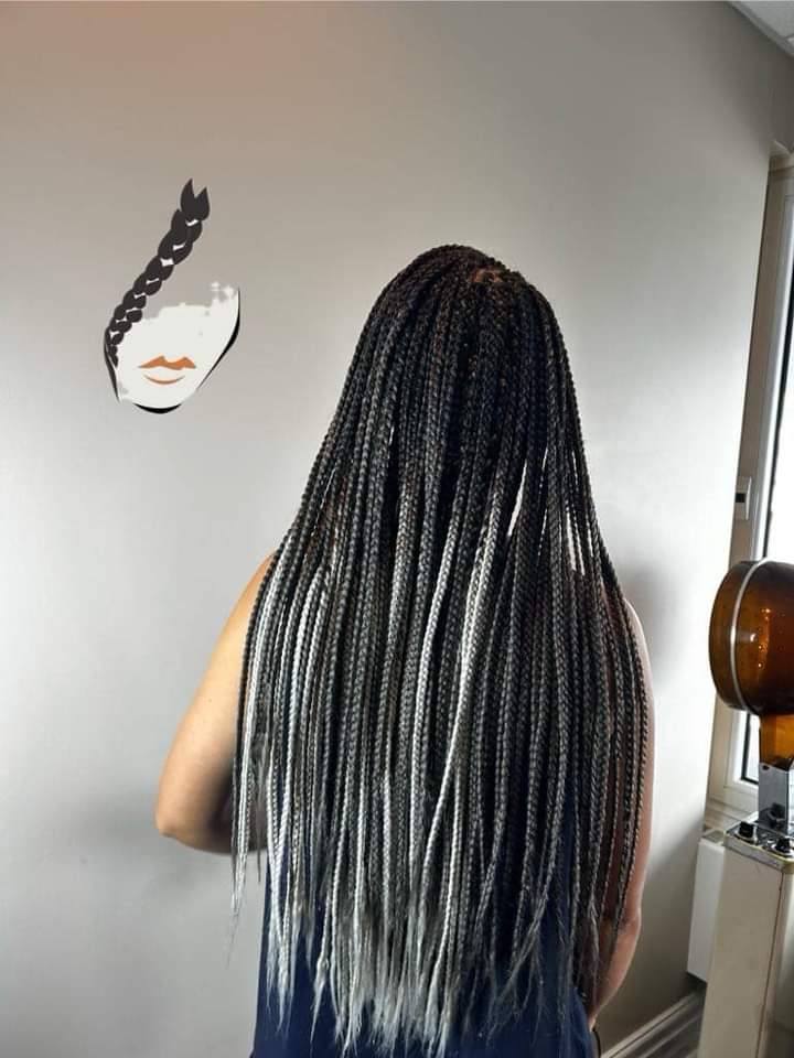 Salon Origines (Origine des tresses)
