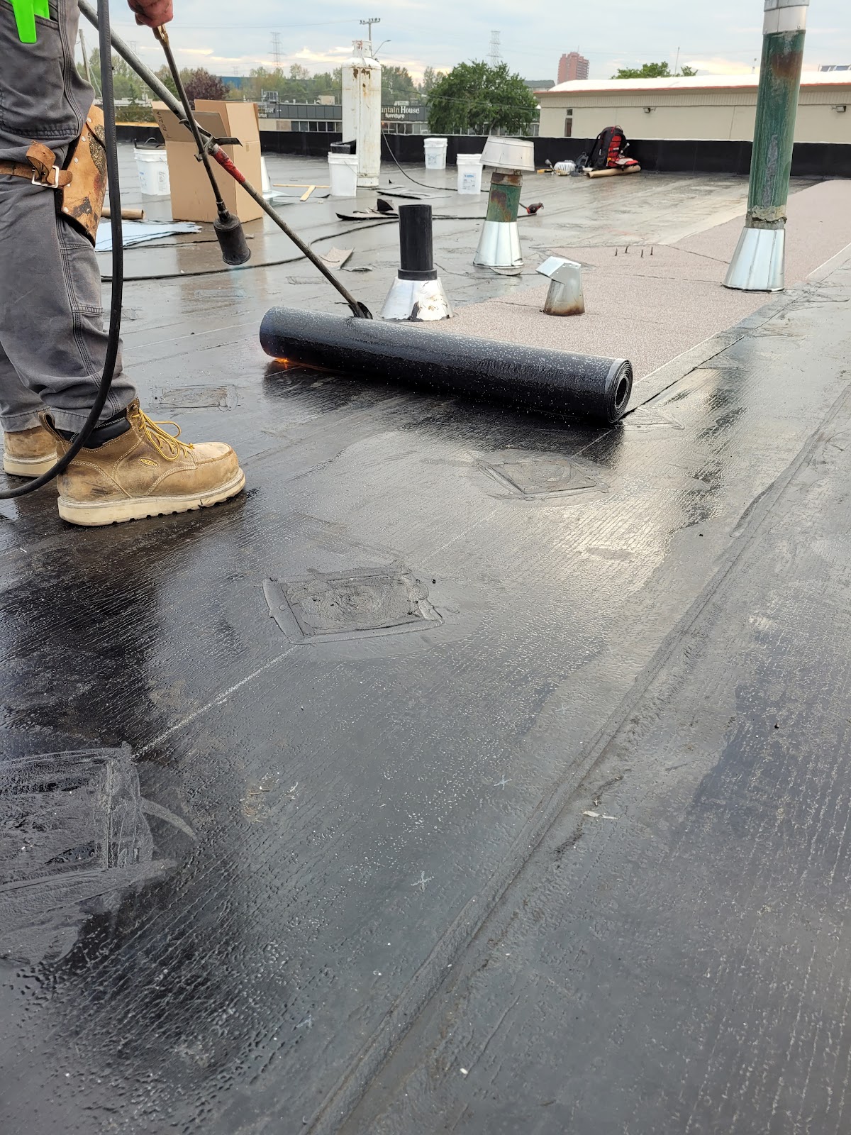 Claw Roofing Specialists