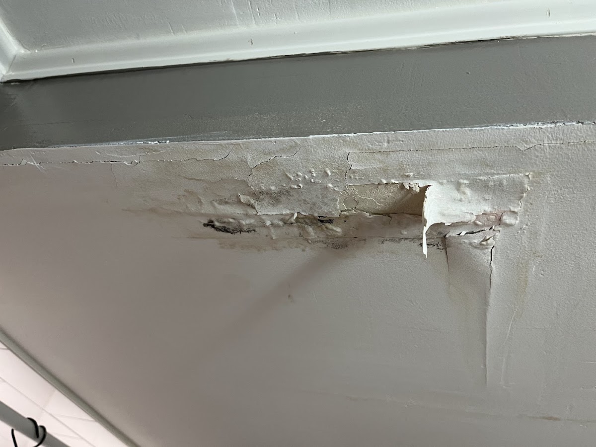 Professional Plumbers Denver