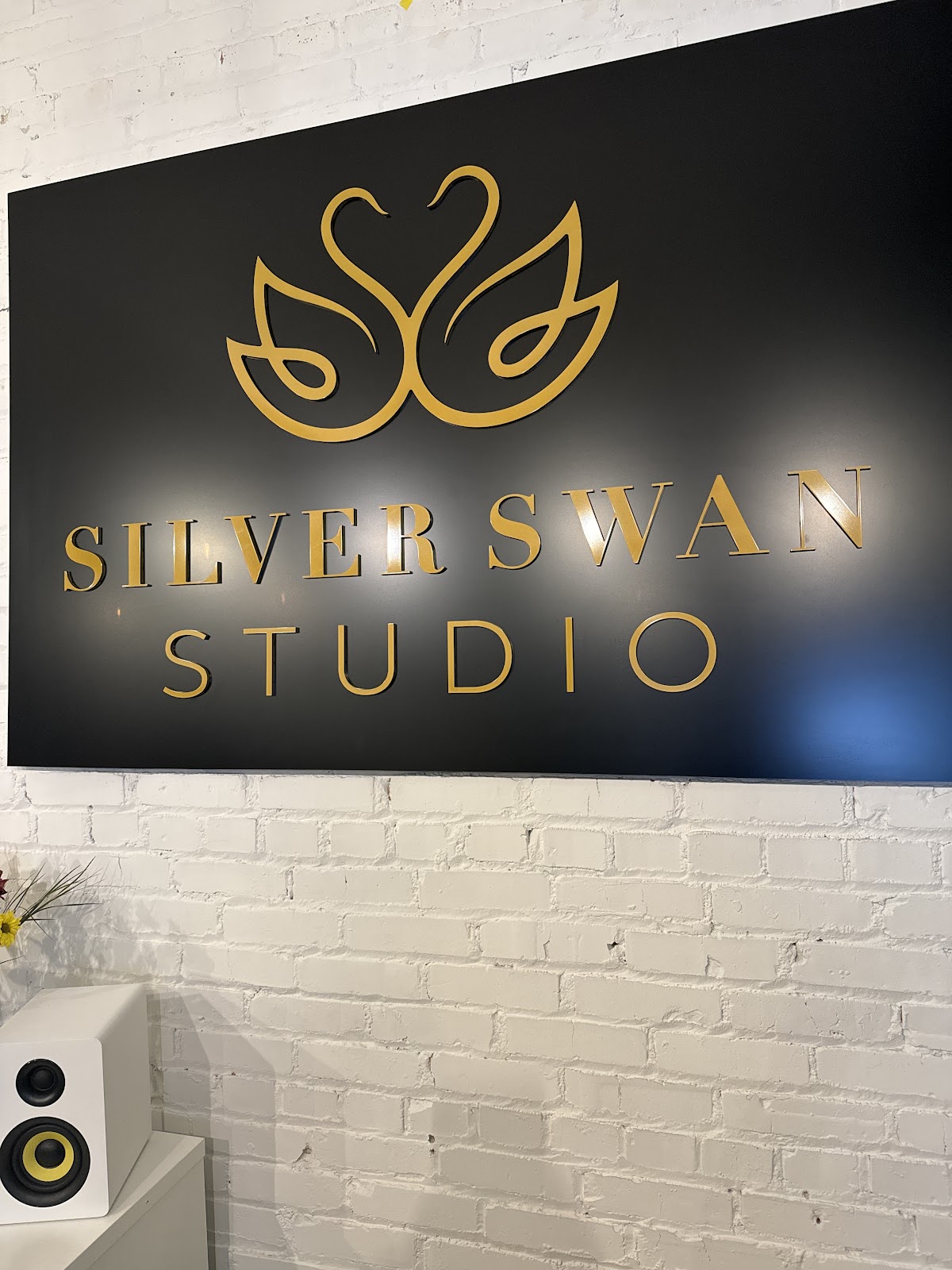 Silver Swan Studio