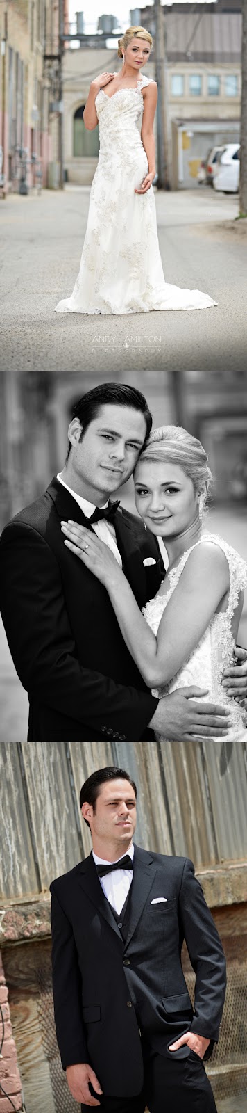 Andy Hamilton Photography