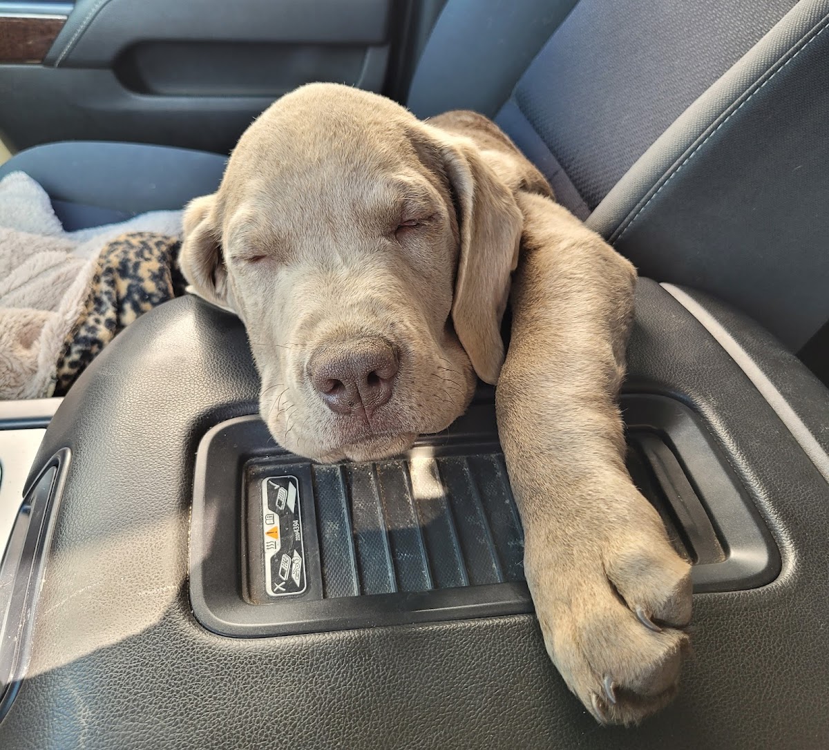 Horseshoe Veterinary Clinic