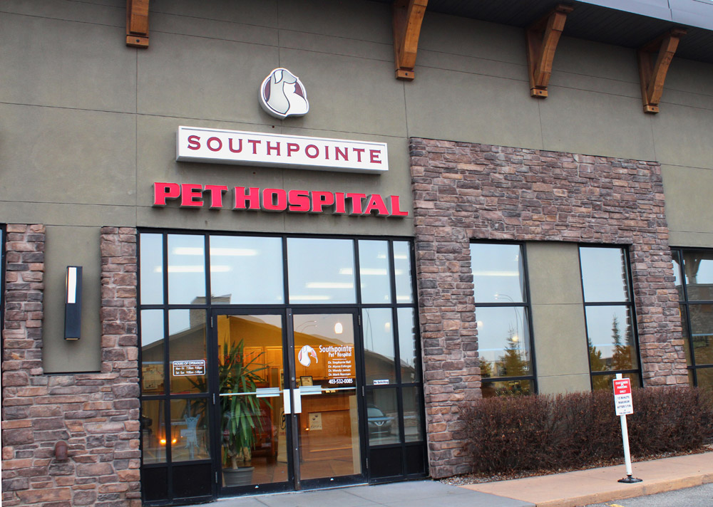 Southpointe Pet Hospital