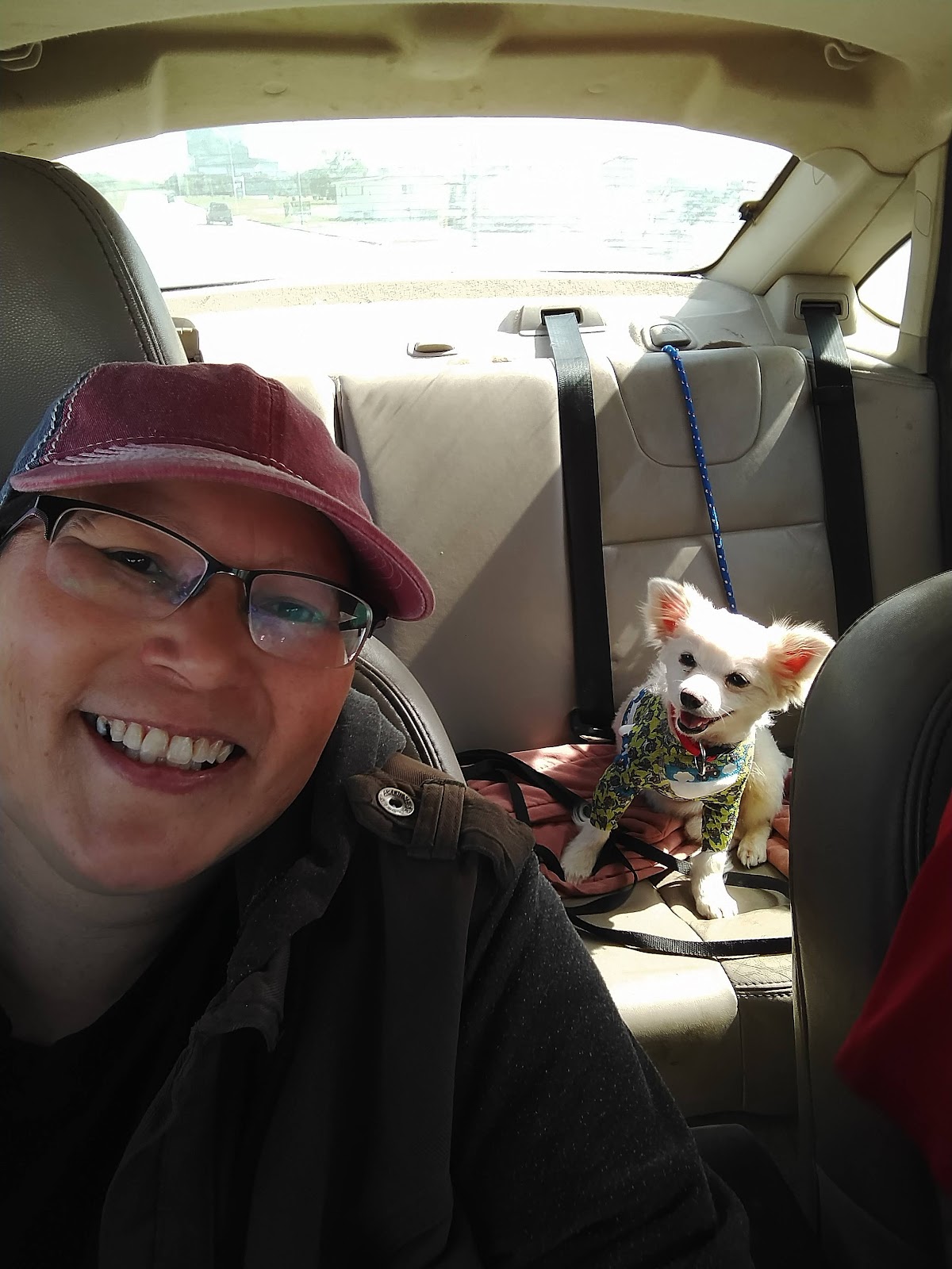 Battlefords Animal Hospital