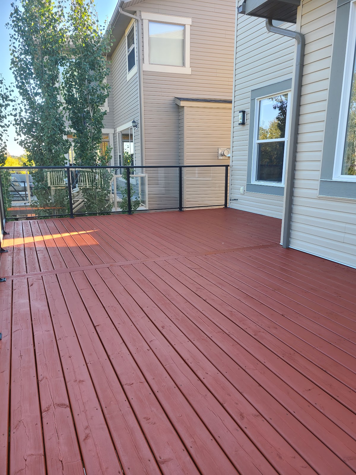 Rose colour painting