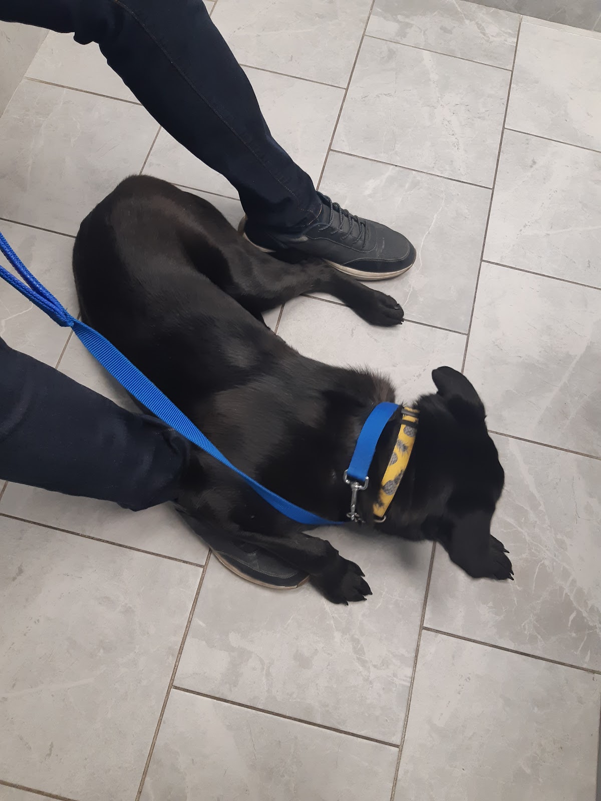 Bridlewood Veterinary Clinic