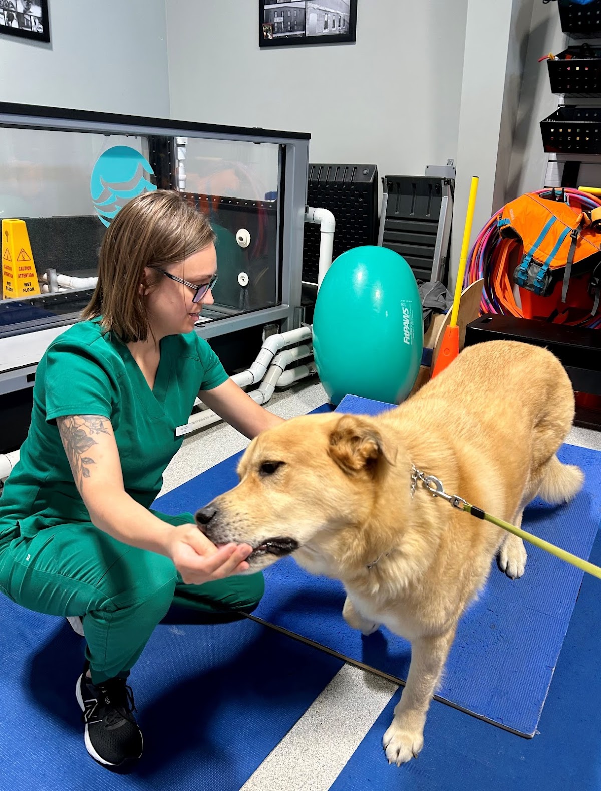 Veterinary Mobility Center