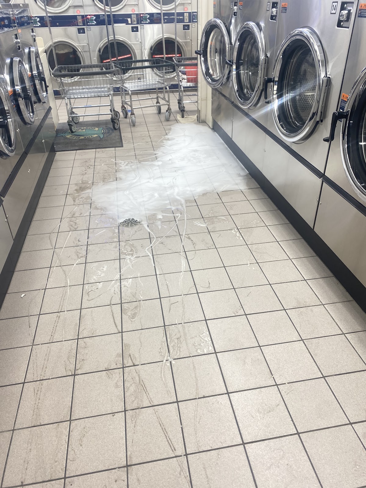 Blue Kangaroo Coin Laundry