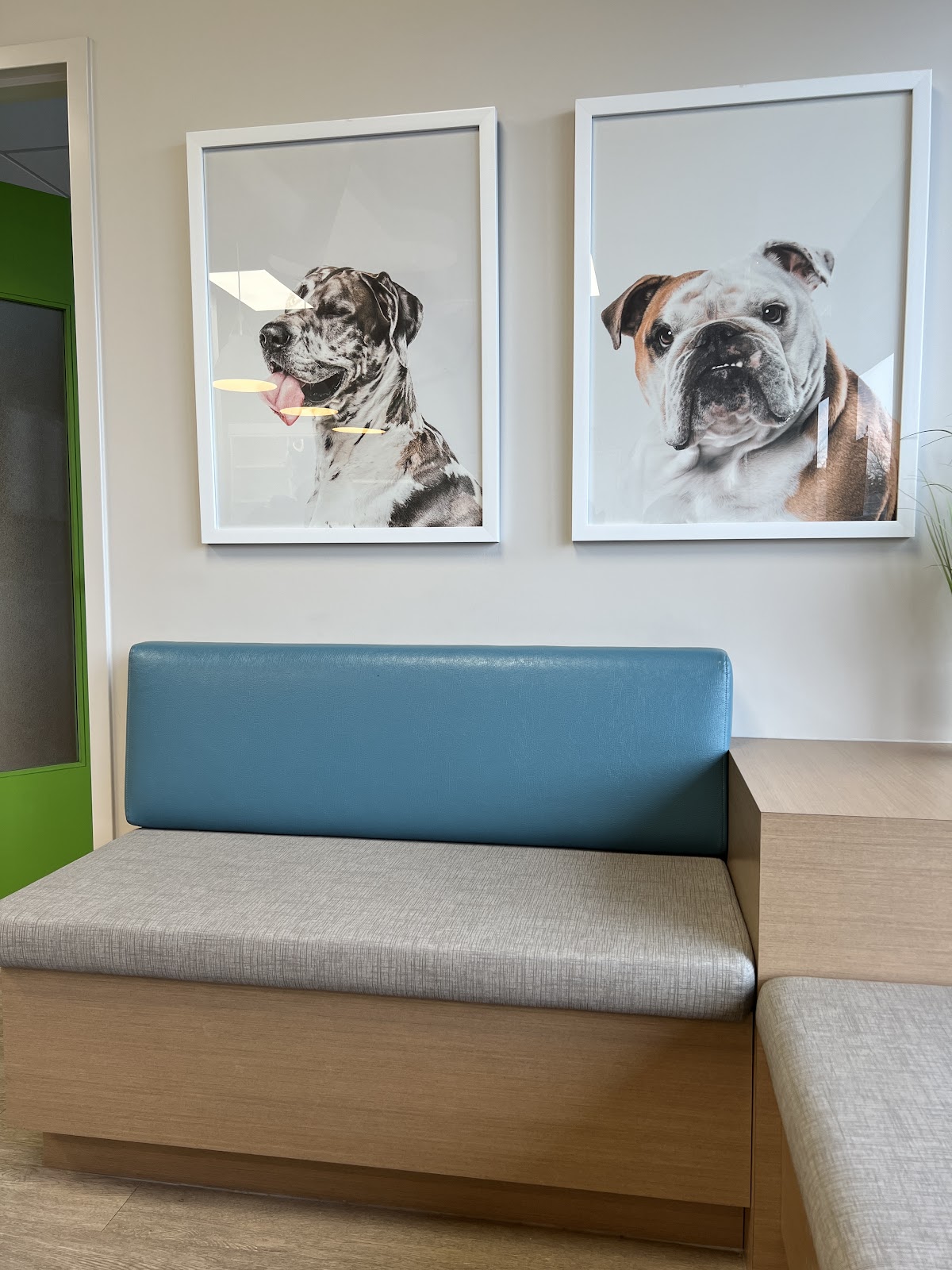 Ermineskin Veterinary Hospital