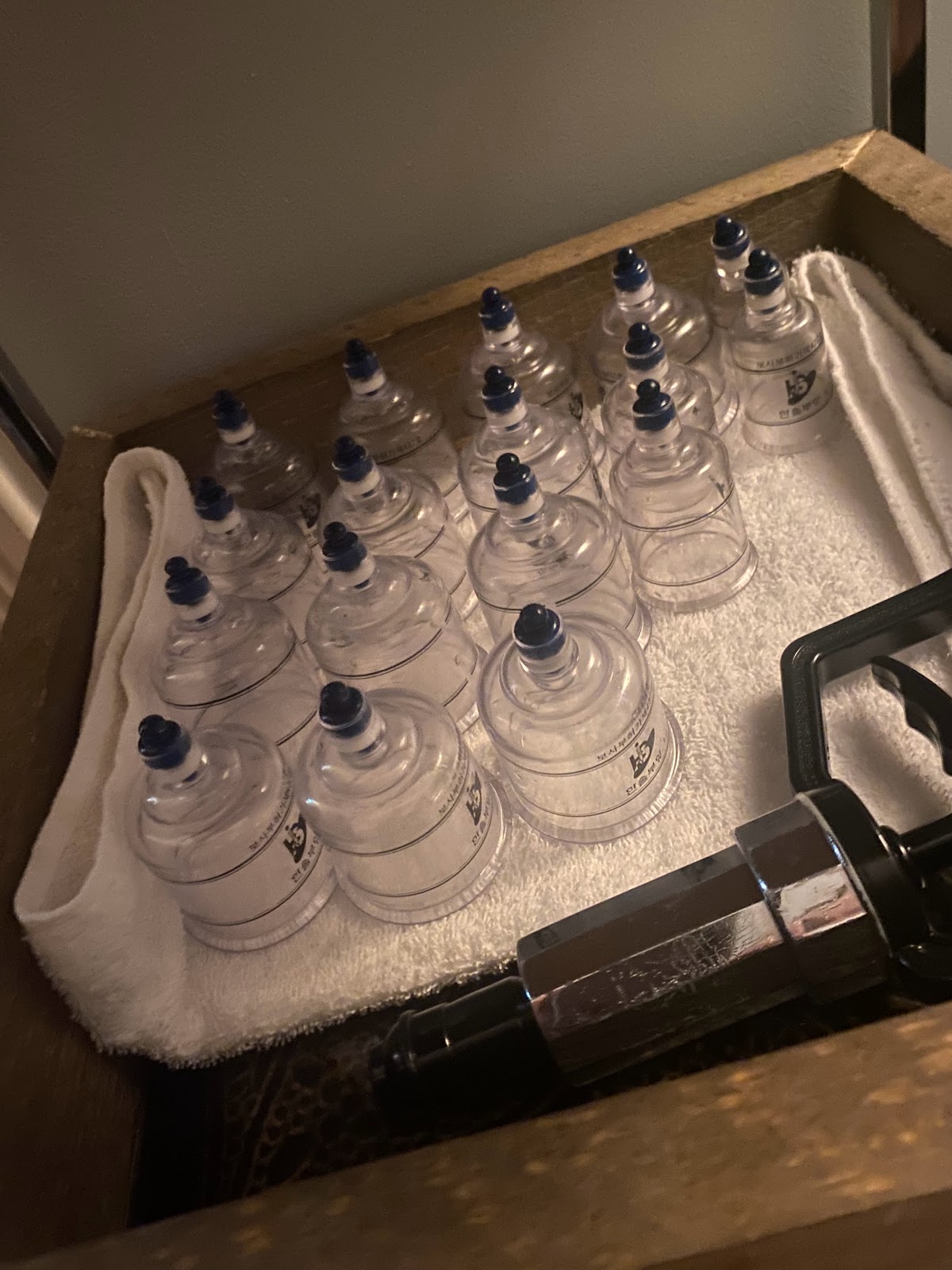 Silver Sparrow Massage by Elizabeth Bergen RMT